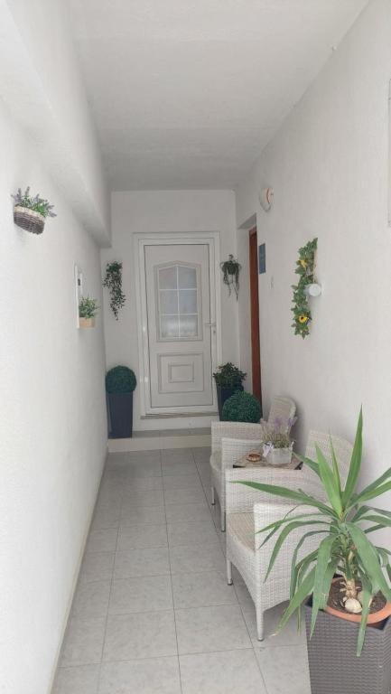 Apartments Mestral Baška Voda Εξωτερικό φωτογραφία